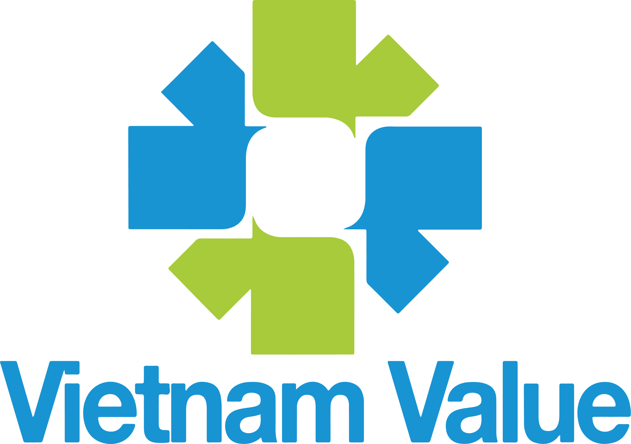 Vietnam Value Logo